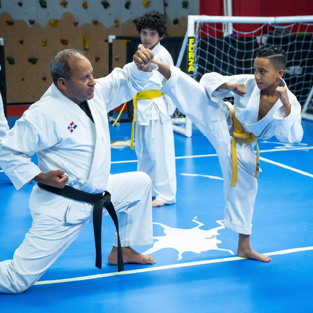 Covers_Karate